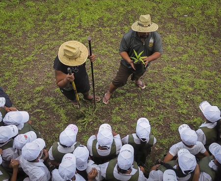 Tree planting technique demonstration.